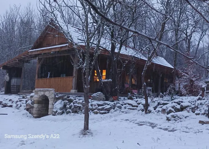 Casa vacanze Hidden Garden Kide Cluj-Napoca